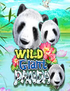 สล็อต ถอน ผ่าน วอ เลท ง่ายๆ ได้เงินจริง